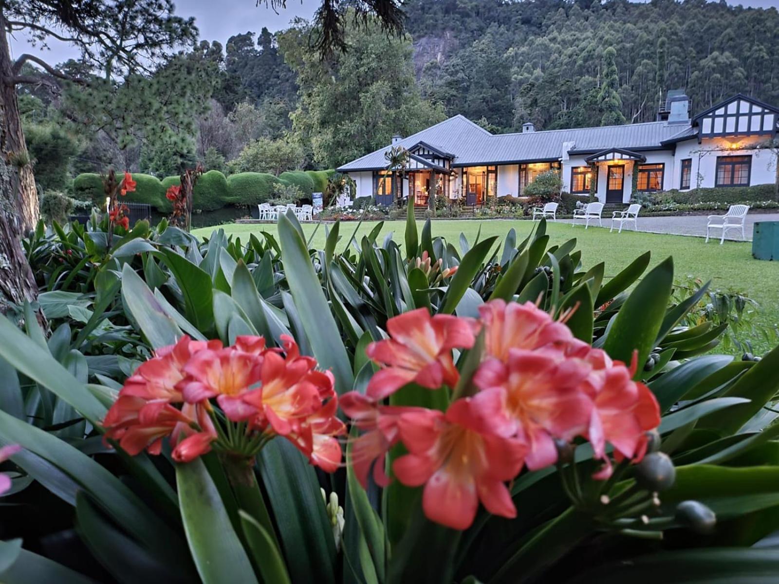 Hill Cottage Nuwara Eliya Zewnętrze zdjęcie
