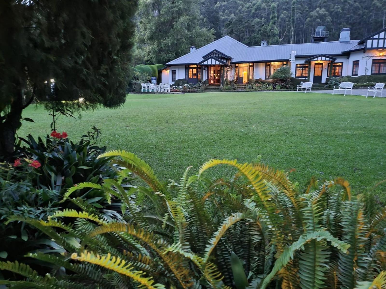 Hill Cottage Nuwara Eliya Zewnętrze zdjęcie