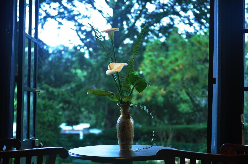 Hill Cottage Nuwara Eliya Zewnętrze zdjęcie